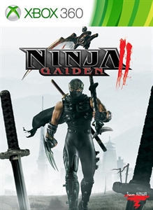 ninja-gaiden-ii-box.jpg