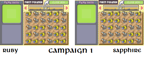 campaign-1.png