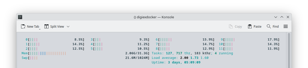 digiex-docker-htop.png