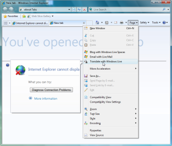 ie8-9-translate.png
