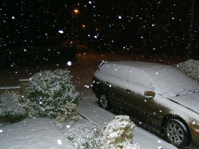 DSCF8876.JPG