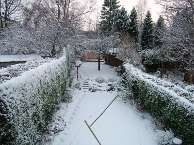 Snow 2009 (7).JPG