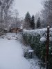 Snow 2009 (19).JPG