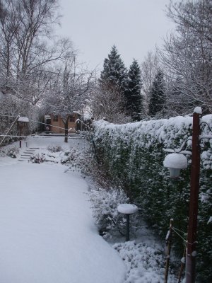 Snow 2009 (19).JPG