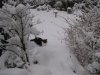 IMG_0058.jpg