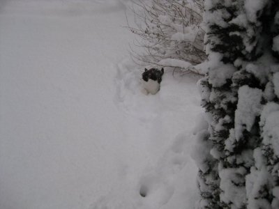 IMG_0061.jpg