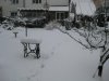 IMG_0064.jpg