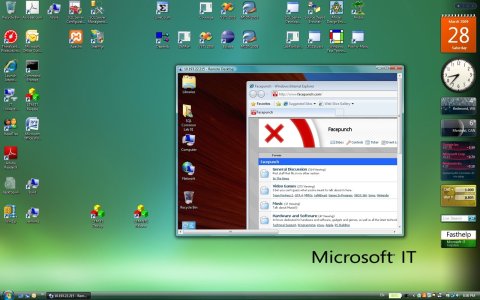 windows74.jpg