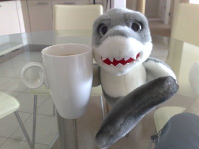Mr Shark.jpg