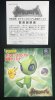 pokemon-colosseum-japanese-bonus-disc-v2-kakuchou-disc-5.jpg