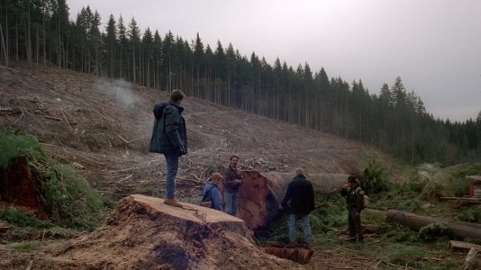 X Files- Darkness Falls Tree Stump.jpg