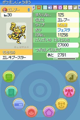 pokemon-festa-2006-electabuzz-slot-2-distribution-3.jpg