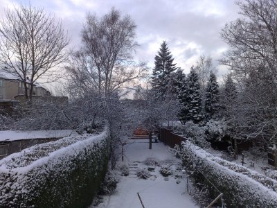 Snow Dec 2009 - 1.jpg