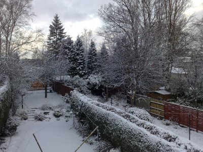 Snow Dec 2009 - 2.jpg