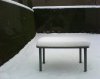 snow1.jpg