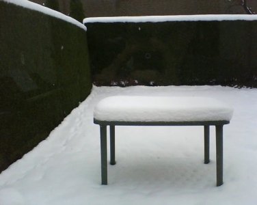 snow1.jpg