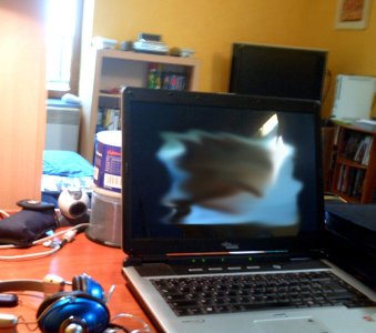 room (1).jpg