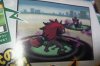 Pokemon-Black-White-Battle-Zorua-Zoroark.jpg