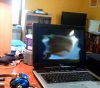 3573d1263399260-show-us-your-workstations-gaming-area-room-1-.jpg