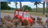 Top Gear Aus 1.jpg