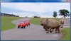Top Gear Aus 2.jpg