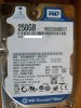 250 gb 012.jpg