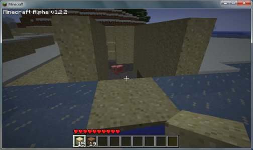 Moon Pig.jpg