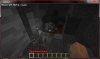 Minecraft4.jpg