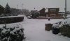 Snow 1-12-2010 (1).jpg