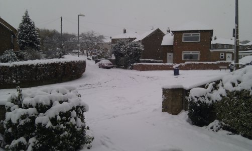 Snow 1-12-2010 (1).jpg