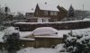 Snow 1-12-2010 (2).jpg