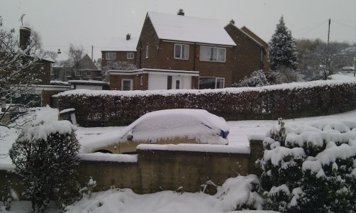 Snow 1-12-2010 (2).jpg