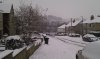 Snow 1-12-2010 (3).jpg