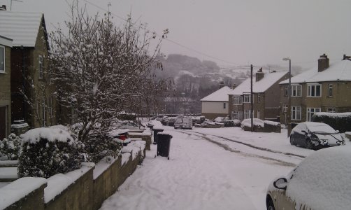 Snow 1-12-2010 (3).jpg