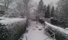 Snow 1-12-2010 (4).jpg