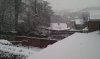 Snow 1-12-2010 (5).jpg