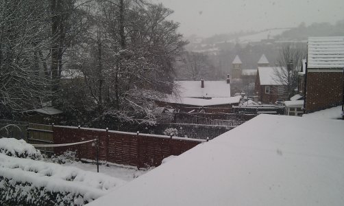 Snow 1-12-2010 (5).jpg