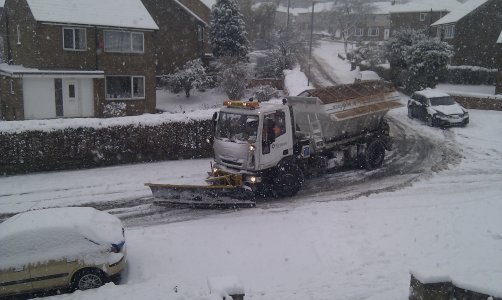 Snow 1-12-2010 (8).jpg