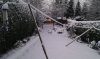 Snow 1-12-2010 (9).jpg