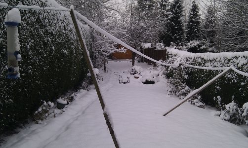 Snow 1-12-2010 (9).jpg