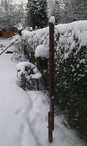 Snow 1-12-2010 (10).jpg