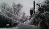 Snow 1-12-2010 (11).jpg