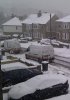 Snow 1-12-2010 (12).jpg