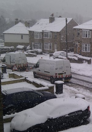 Snow 1-12-2010 (12).jpg
