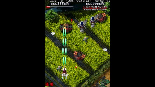 mame3.jpg