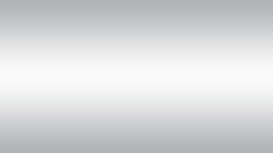 SILVER WALLPAPER.png