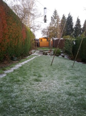 snow.jpg