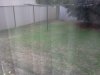 IMG20120312_001.jpg