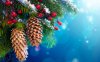 Christmas Tree.jpg