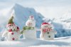 Snow Men.jpg